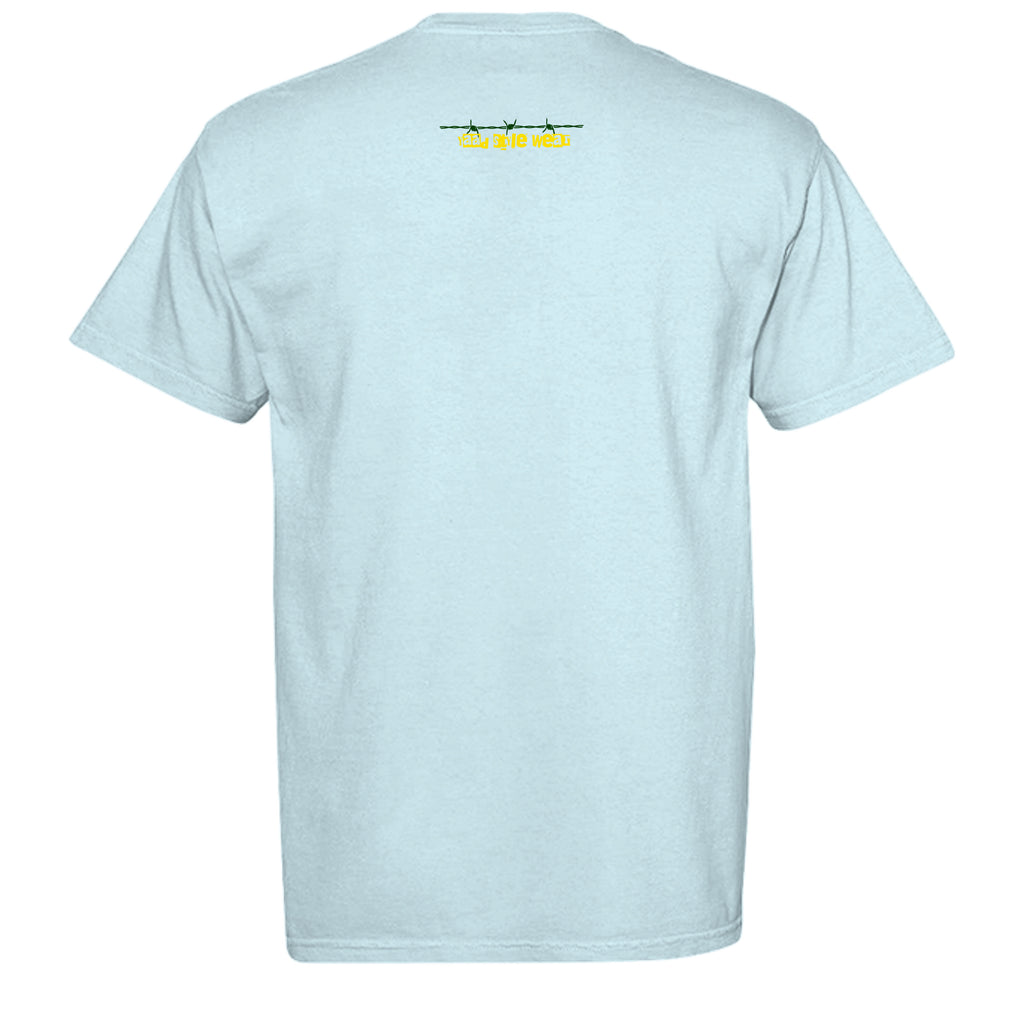 CHAMBRAY - C1717 - BACK