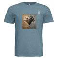 STEEL BLU TRBLND - 3413C - FRONT