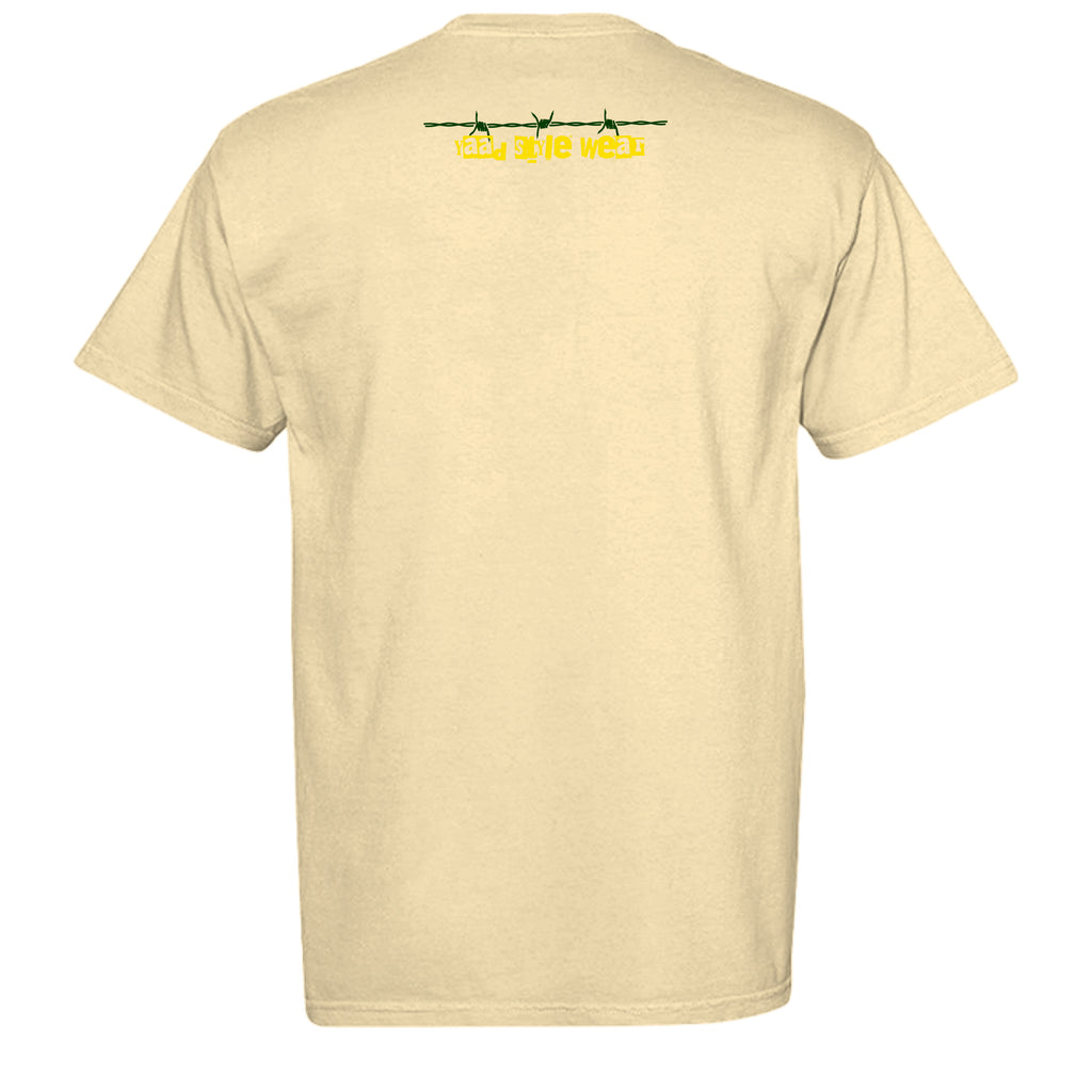 BUTTER - C1717 - BACK