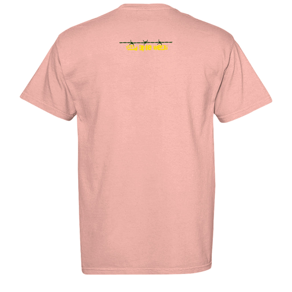 Peachy - C1717 - BACK