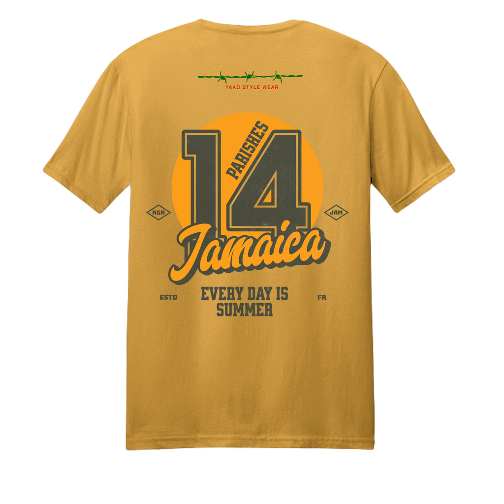 Warm Gold - DT106 - BACK